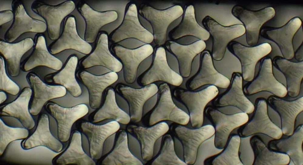 Post Featured Image